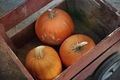 A Red Wooden Cart Holds Three Pumpkins - PhotoDune Item for Sale