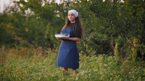 Portrait of Young Woman in Apron Standing with Basket of Fresh Plums