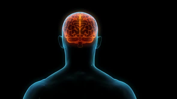 Rotating Blue Conceptual Human Brain On Black Background