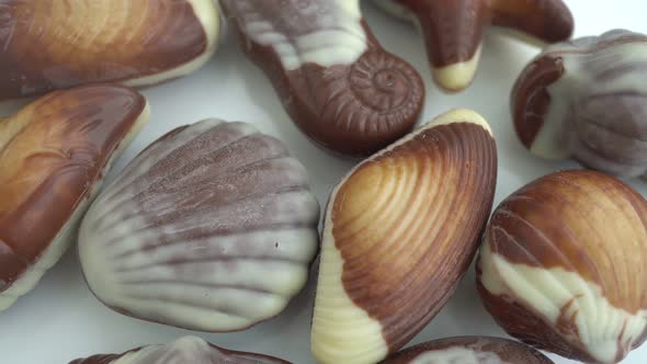 Rotation Seashell Chocolates Background 2