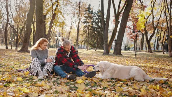 Happy Young Man and His Dog Pulling Over Rubber Circle Playing in Autumn Park Sitting with