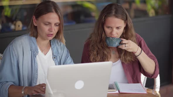 Happy Women Working Together with Laptop at Outdoor Cafe