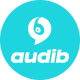 Audib - Audio Store WooCommerce Theme - ThemeForest Item for Sale