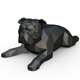 English bulldog lying - 3DOcean Item for Sale