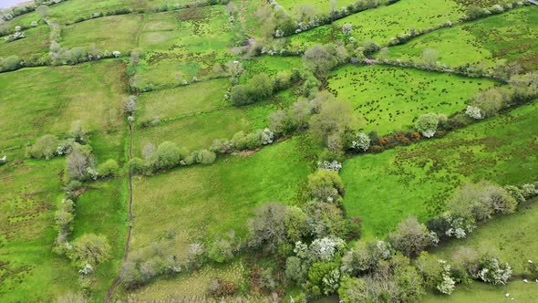 Aerial View of Fields Next to Glencar Lough in Ireland