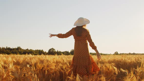 Pregnant woman in the rays of the sunset in the field