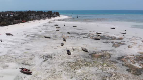 Many Fishing Boats Stuck in Sand Off Coast at Low Tide Zanzibar Aerial View