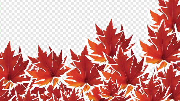 Autumn Leaves Transition alt