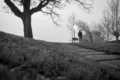 Blur photo of a man in park alone with empty bench and leafless tree. Back view of a lonely man  - PhotoDune Item for Sale