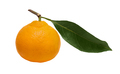 Tangerine on white background isolate - PhotoDune Item for Sale