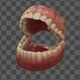 Anatomy Of Teeth 4K - VideoHive Item for Sale