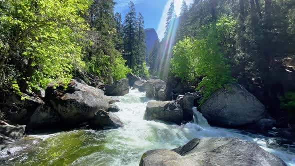 A pan down from the vibrant blue sky to a calm flowing river in Yosemite National Park. Green trees