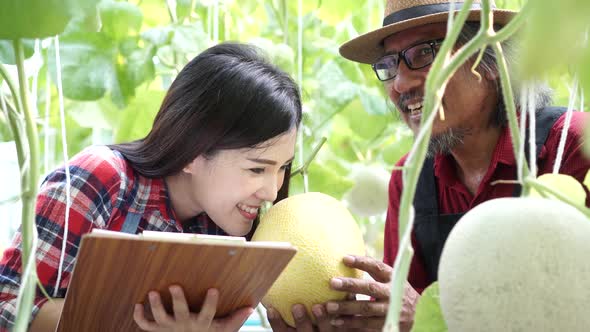 Happy Asian Farmers Smiling and Holding a Ripen Melon at Their Own Farm Field