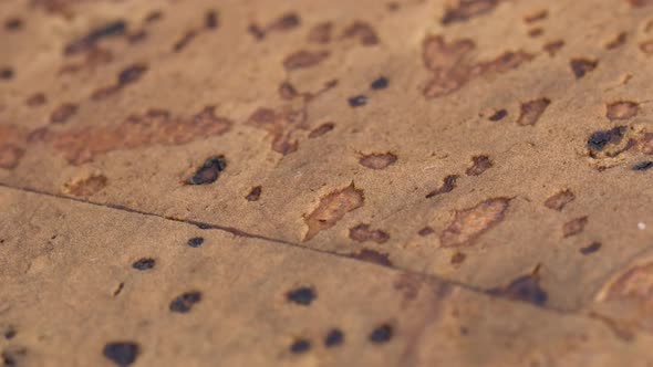 Rotating shot of recycled cork material surface. Macro shot, close up.