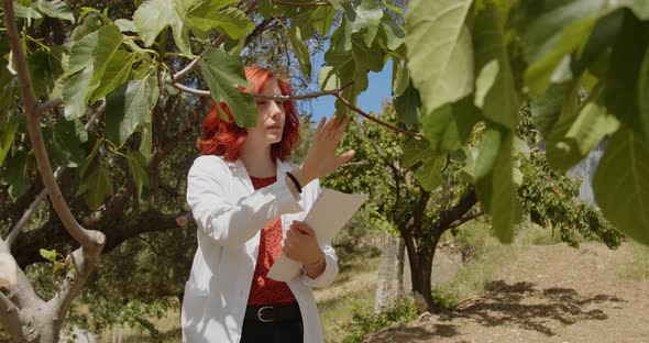 Young agronomist checks the vineyards in the countryside