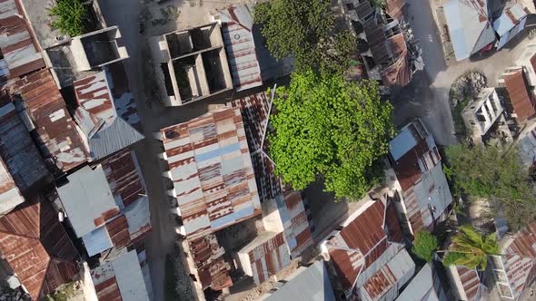 Zanzibar Tanzania  Houses on Tropical Island Slow Motion