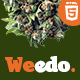 Weedo | Cannabis Listing HTML5 Template - ThemeForest Item for Sale