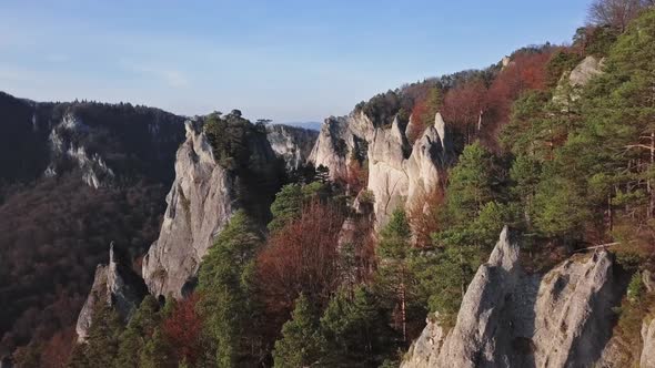 Flight Over Cliffs in Autumn Forest