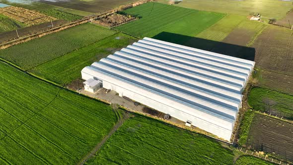 Banana greenhouse aerial view 4 K