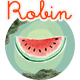 Robin - Cute & Colorful Blog Theme - ThemeForest Item for Sale