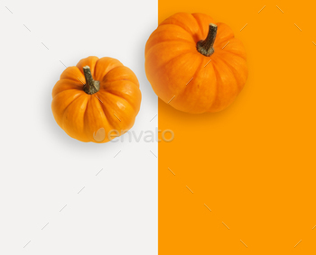 Pumpkin modern banner on orange and white background. Vegetable pumpkin poster or wallpaper