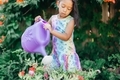 Diverse pre school girl outdoors using purple watering can to water flowers in garden - PhotoDune Item for Sale