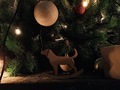 Christmas decorations - PhotoDune Item for Sale