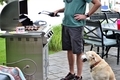 Man and his dog on the backyard patio grilling outdoor  - PhotoDune Item for Sale