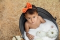 Autumn portrait of little baby girl in milk bath with pumpkins, fall season  - PhotoDune Item for Sale