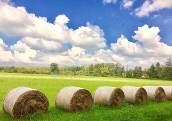  cloudscape, blue sky, summertime, hay stacks, wallpaper


	NOMINATED 
