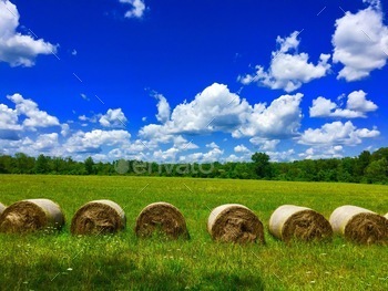 

	Hay bales, hay stack, hay, summertime, farm, blue sky, cloud, cloudscape, scenery, summer, sunshine, greenery, picturesque, beautiful, background.


	Nominated