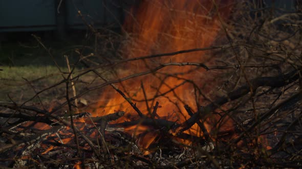 Wildfire Spreading Flames of Forest Fire