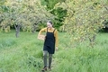 Woman walking in apple garden - PhotoDune Item for Sale