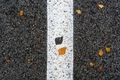 Road median strip with leaf imprint - PhotoDune Item for Sale