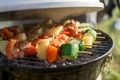 Pieces meat and vegetables bbq on grill - PhotoDune Item for Sale