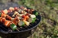 Pieces meat and vegetables bbq on grill - PhotoDune Item for Sale