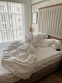Morning bed - PhotoDune Item for Sale