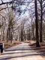 Pathway - PhotoDune Item for Sale
