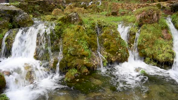 Stones and Rocks Covered By Moss Along Water Stream Flowing Through Green Forest