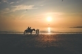 Silhouette of a couple enjoying leisure horse ride at the beach during sunset.  - PhotoDune Item for Sale