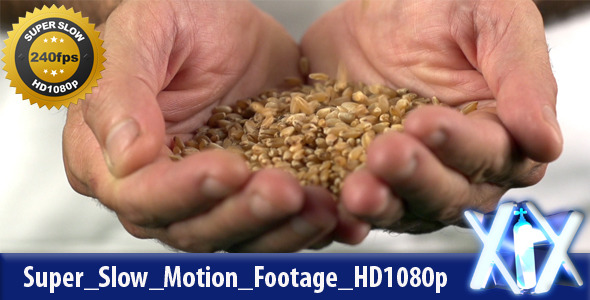 Wheat Seeds 240fps