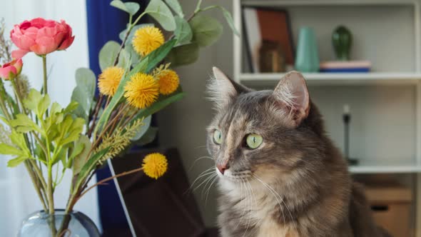 Cat Sitting on Table with Flowers in Living Room