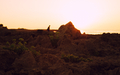 nature - PhotoDune Item for Sale