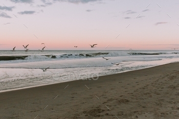 ver the Atlantic Ocean at sunset in Rehoboth Beach, Delaware by Dorey Kronick