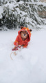 a small dog in a winter tiger costume sits in the snow with a decorative sled near the tree - PhotoDune Item for Sale