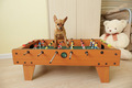 small dog playing kids football - PhotoDune Item for Sale