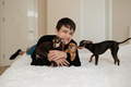 teen boy playing with his three small dogs on the bed - PhotoDune Item for Sale
