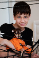 preparing and celebrating Halloween at home with pets dogs with costume and cobwebs - PhotoDune Item for Sale