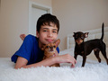 Teenager play with his dogs at home - PhotoDune Item for Sale