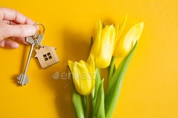  mortgage, rent, real estate, purchase, offer, summer, yellow, bouquet, flower, background, booking, business, buy, construction, copy space, copyspace, cottage, estate, farm, farmhouse, finance, gift, home, idea, investment, key ring, keychain, loan, lock, moving, new house, ownership, project, property, real, relocation, residence, security, space for text, spring offer, tourism, wooden, ecotourism